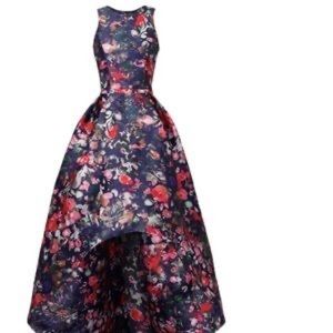 ML Monique Lhuillier
Women's Blue Floral Printed Mikado Hi-lo Gown